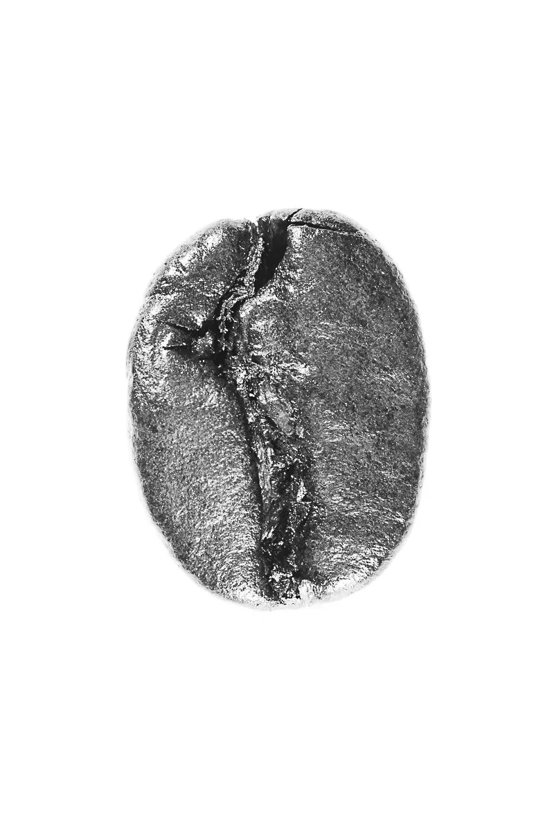 Bean-22.jpg