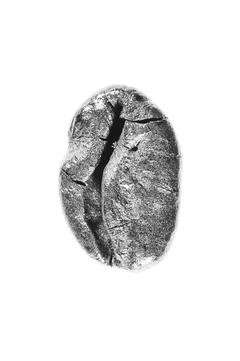 Bean-27.jpg