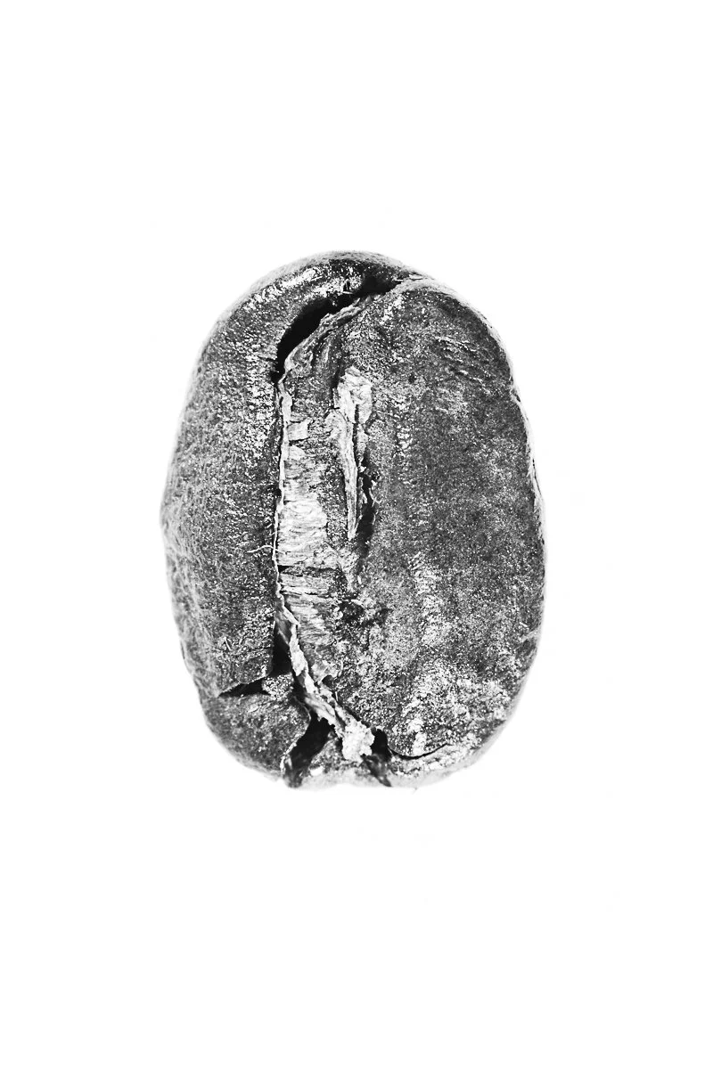 Bean-28.jpg