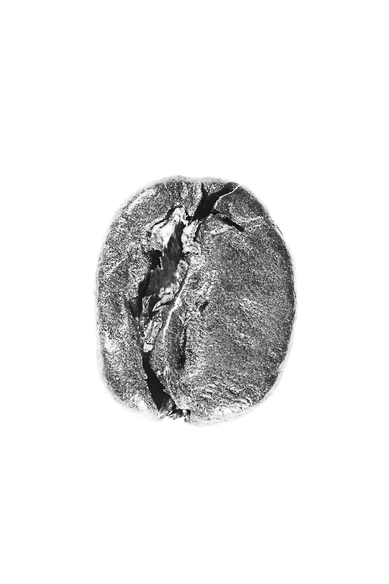 Bean-36.jpg