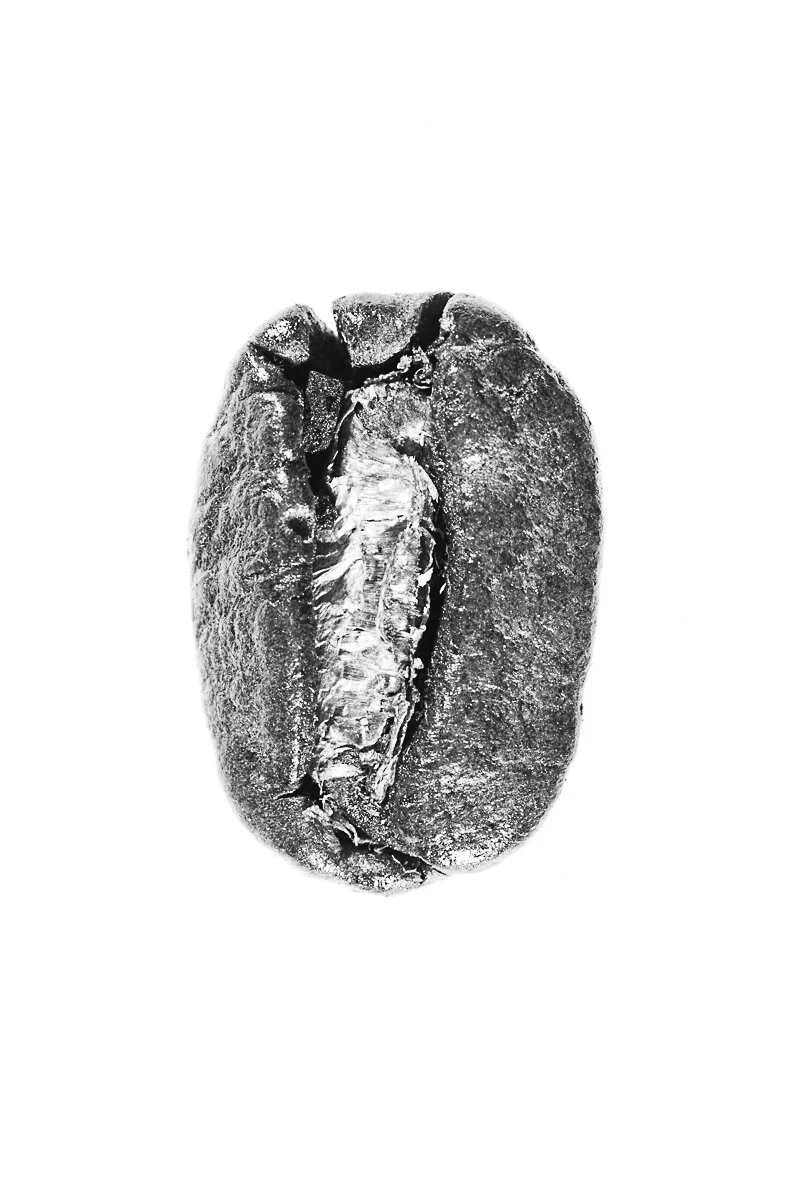 Bean-47.jpg