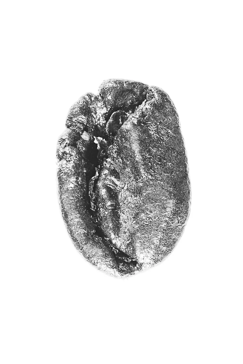 Bean-48.jpg