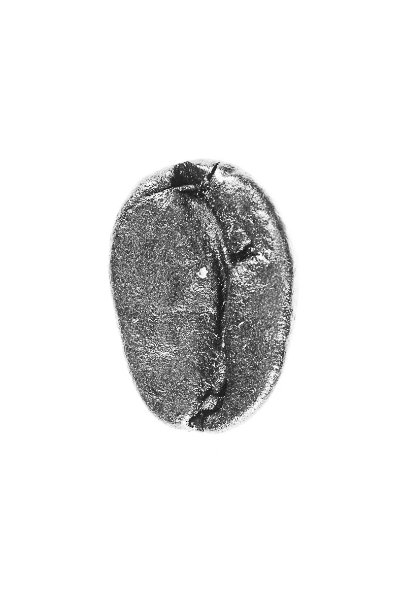 Bean-49.jpg