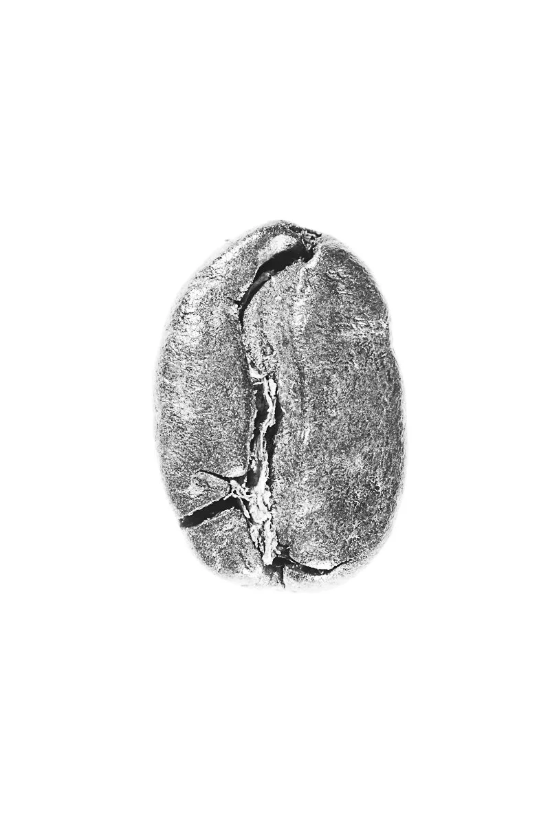 Bean-51.jpg