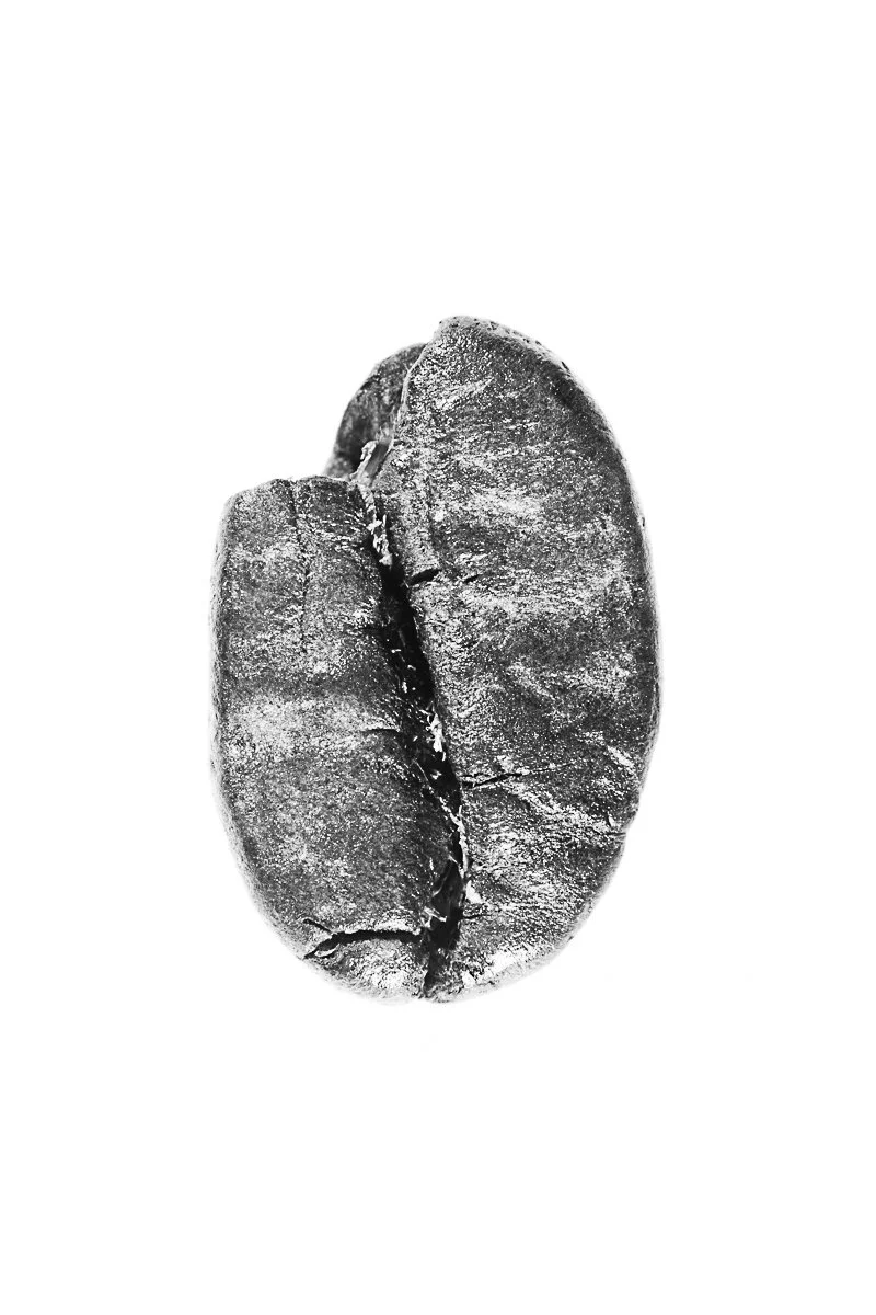 Bean-52.jpg
