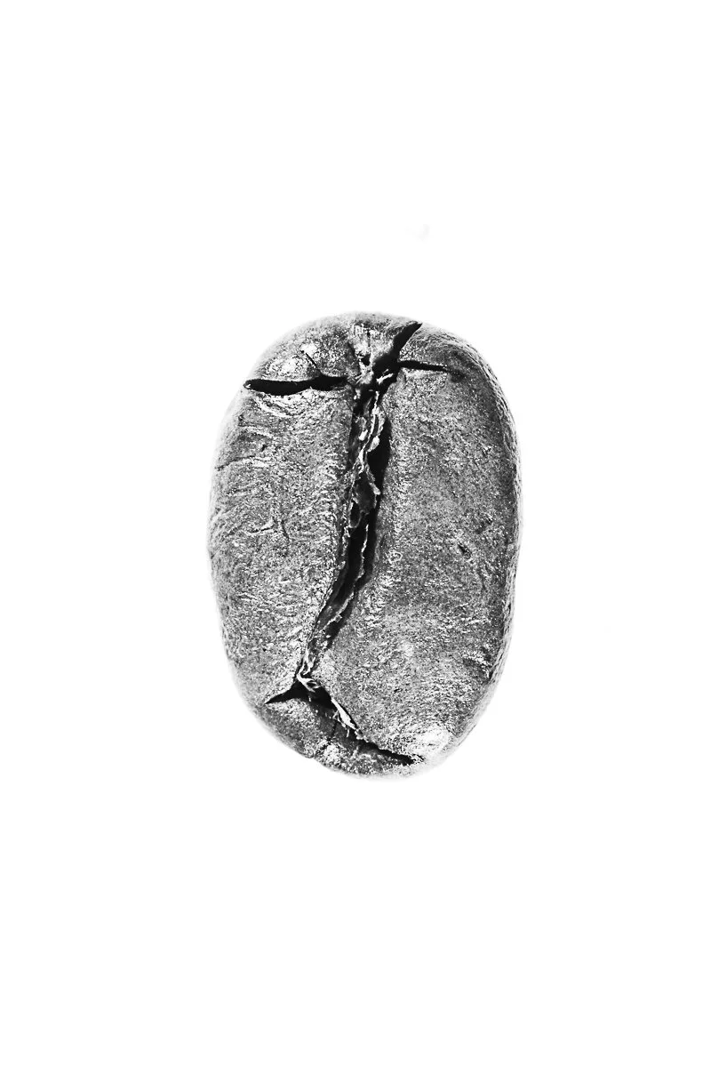 Bean-53.jpg