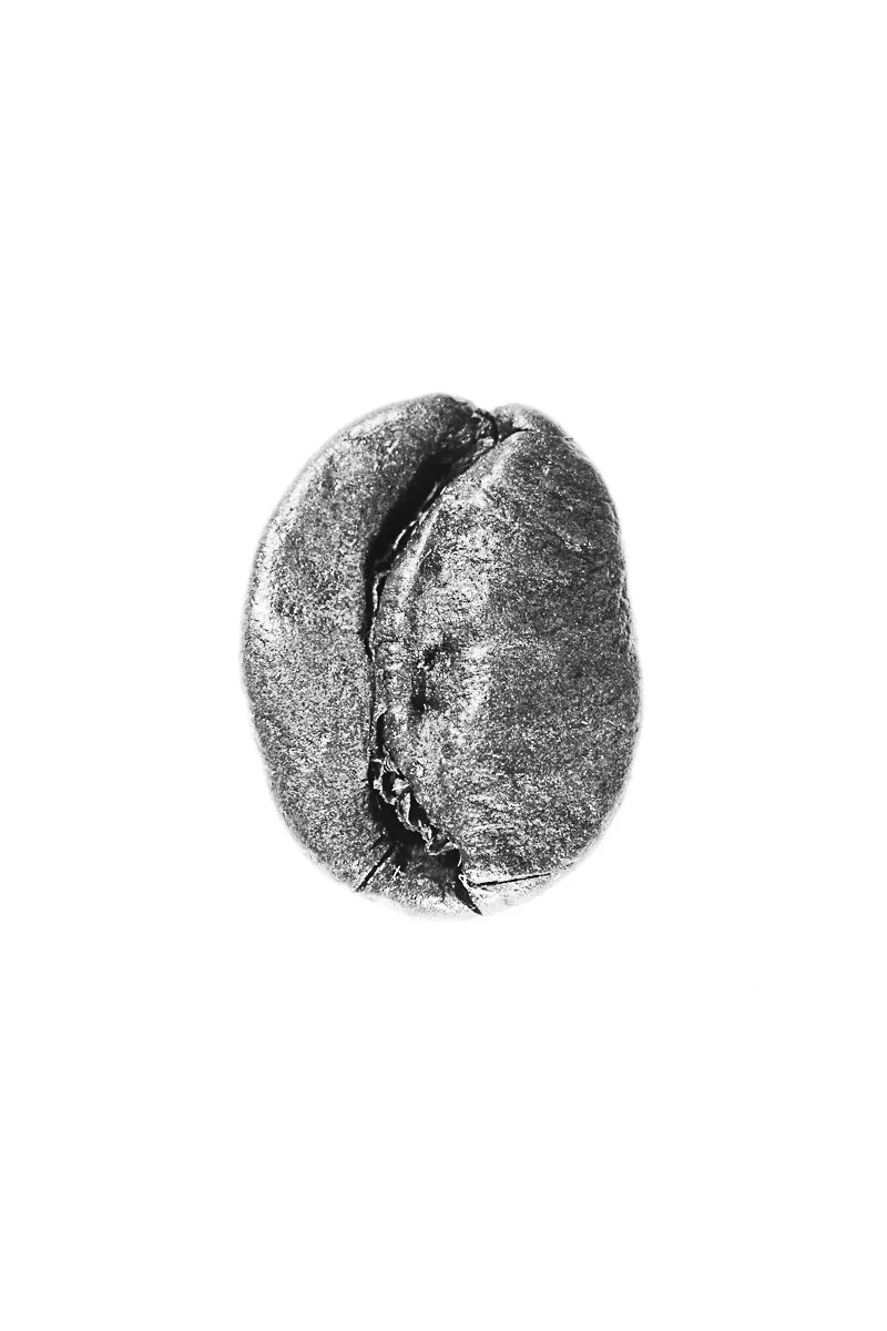 Bean-54.jpg