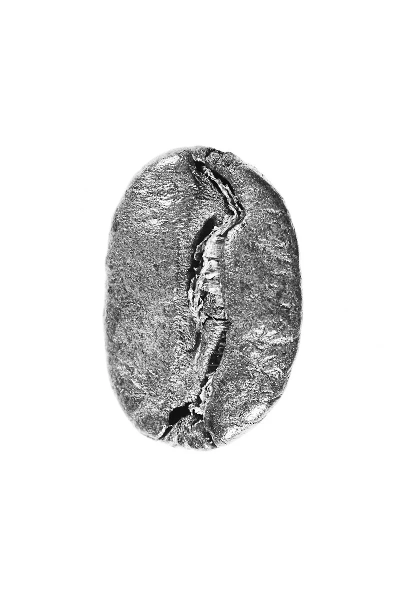 Bean-56.jpg