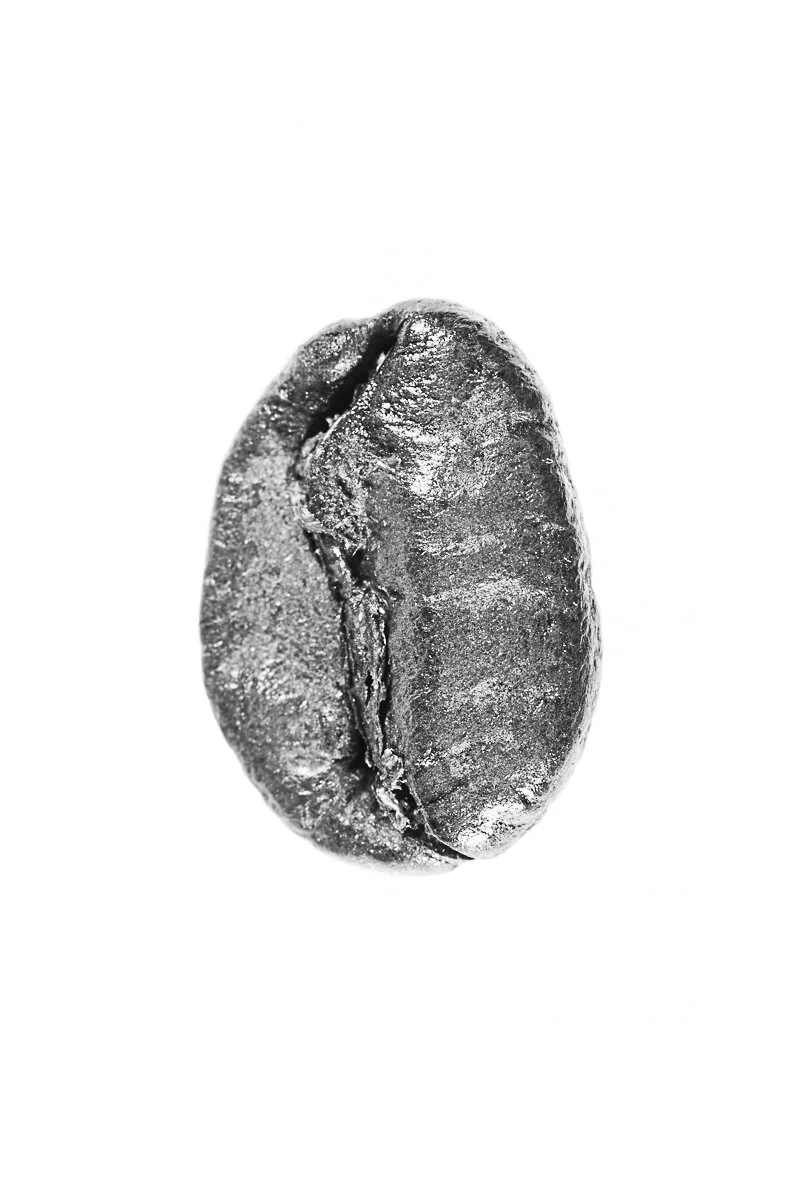 Bean-57.jpg