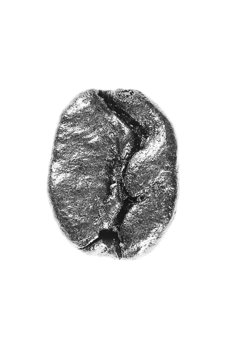 Bean-68.jpg