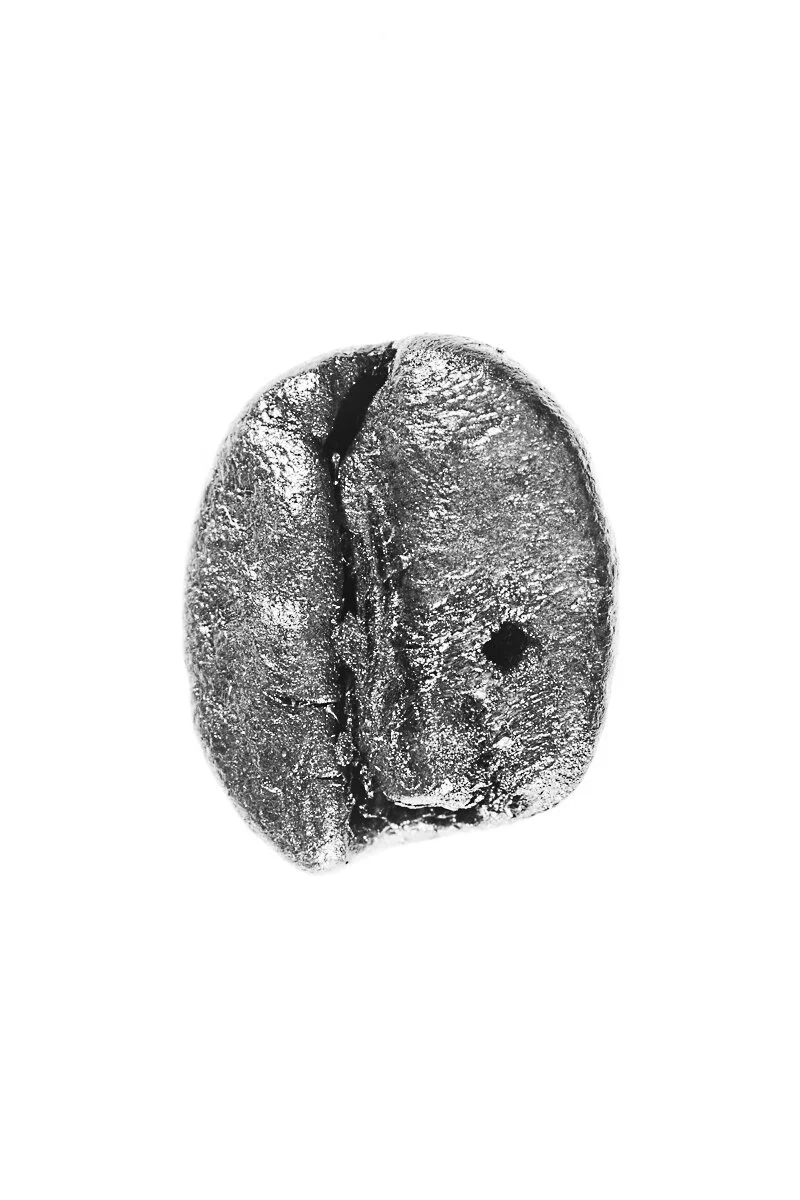 Bean-69.jpg