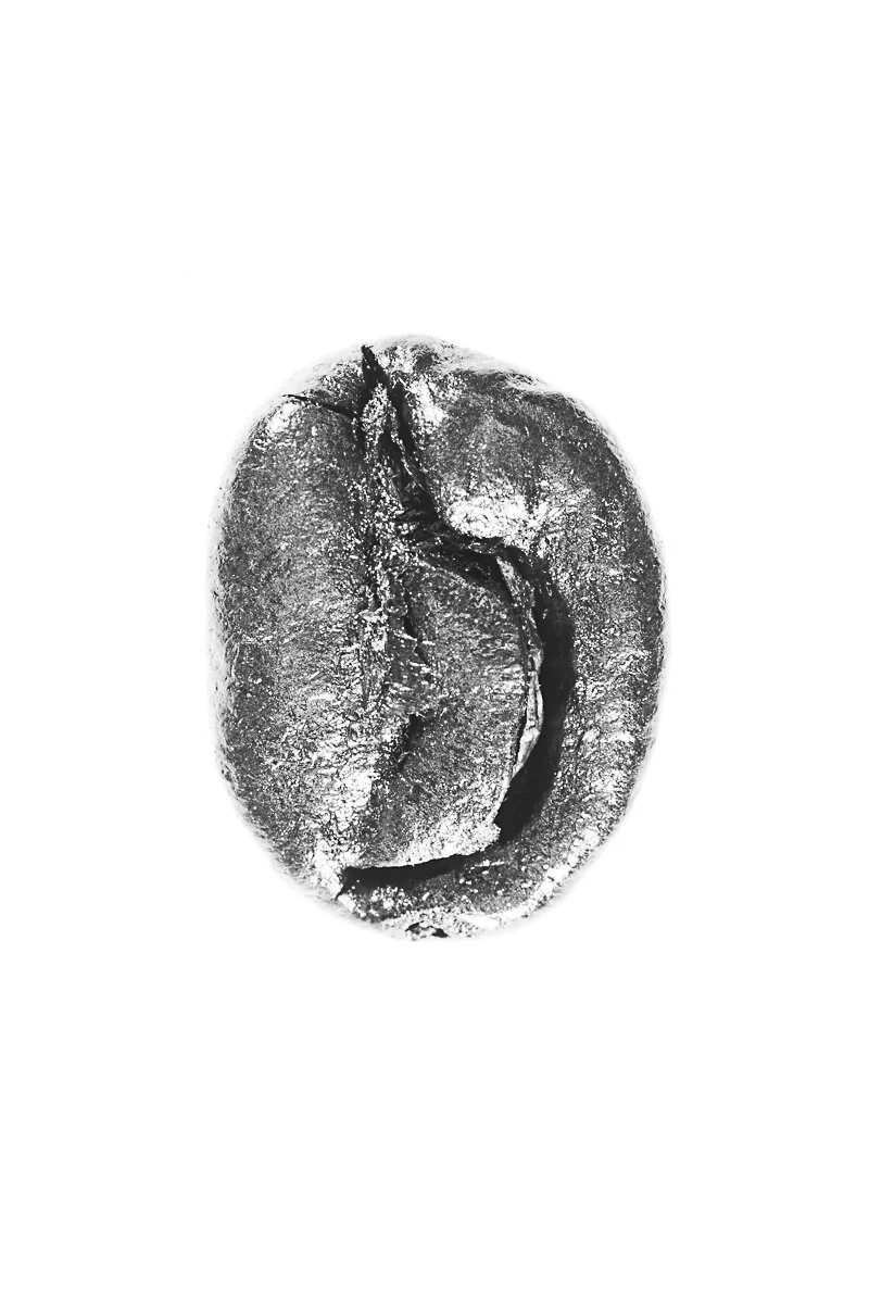 Bean-71.jpg