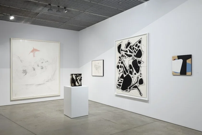    DRAWING ROOM    DAVID NOLAN GALLERY, 2016 