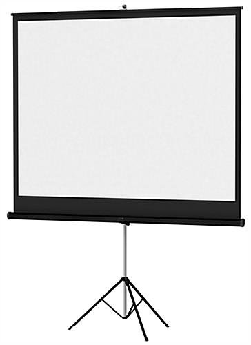 Projector & Screen
