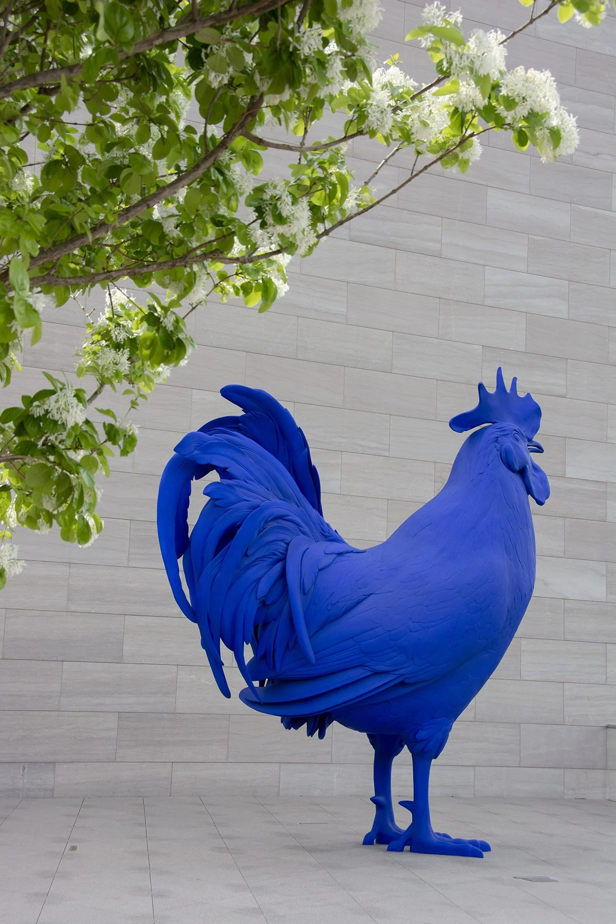 Korofina_National Gallery of Art East_ed.jpg