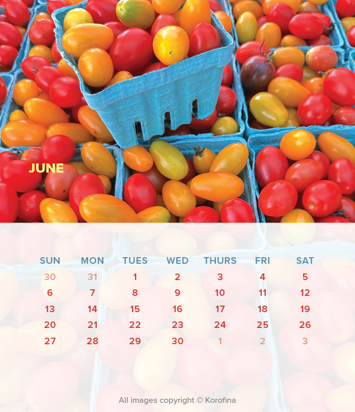 george-DC-calendar-2027-13.png