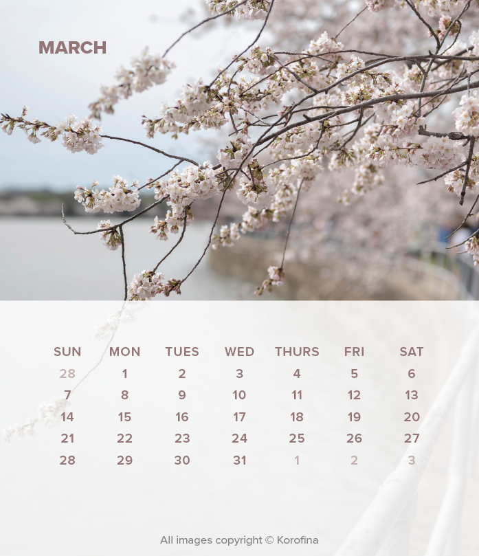george-DC-calendar-2027-7.png