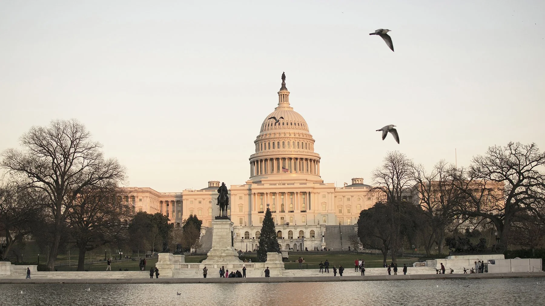 Korofina_US Capitol at Sunset_eg.jpg