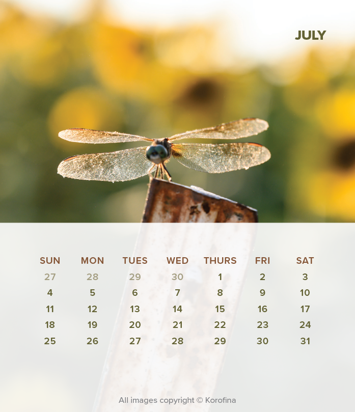 george-DC-calendar-2027-15.png