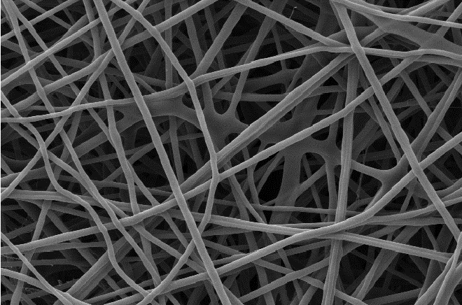 SEM-micrograph-of-crosslinked-nanofiber-mat-at-5000-magnification.png