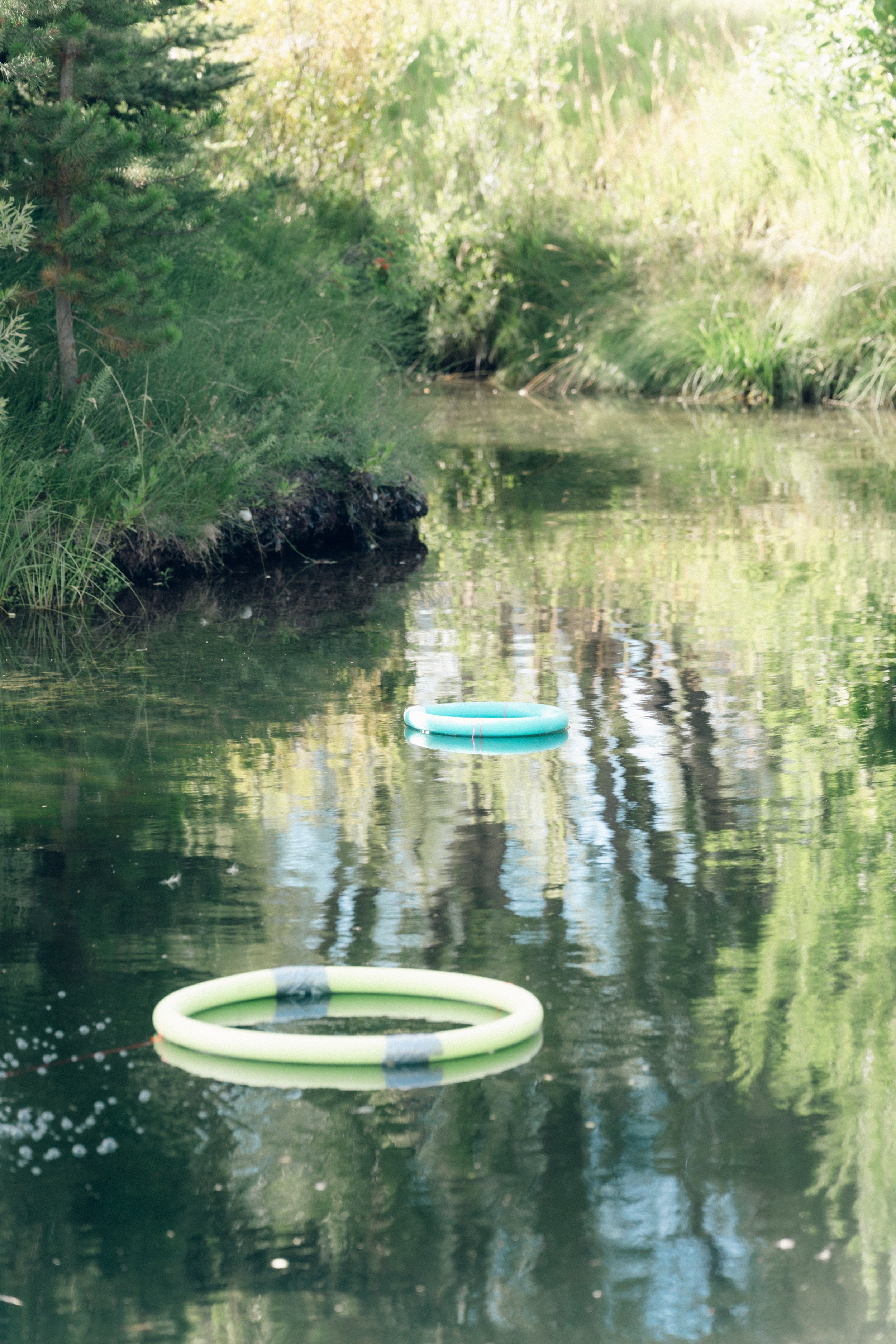 Stripping For A Cure-27.jpg