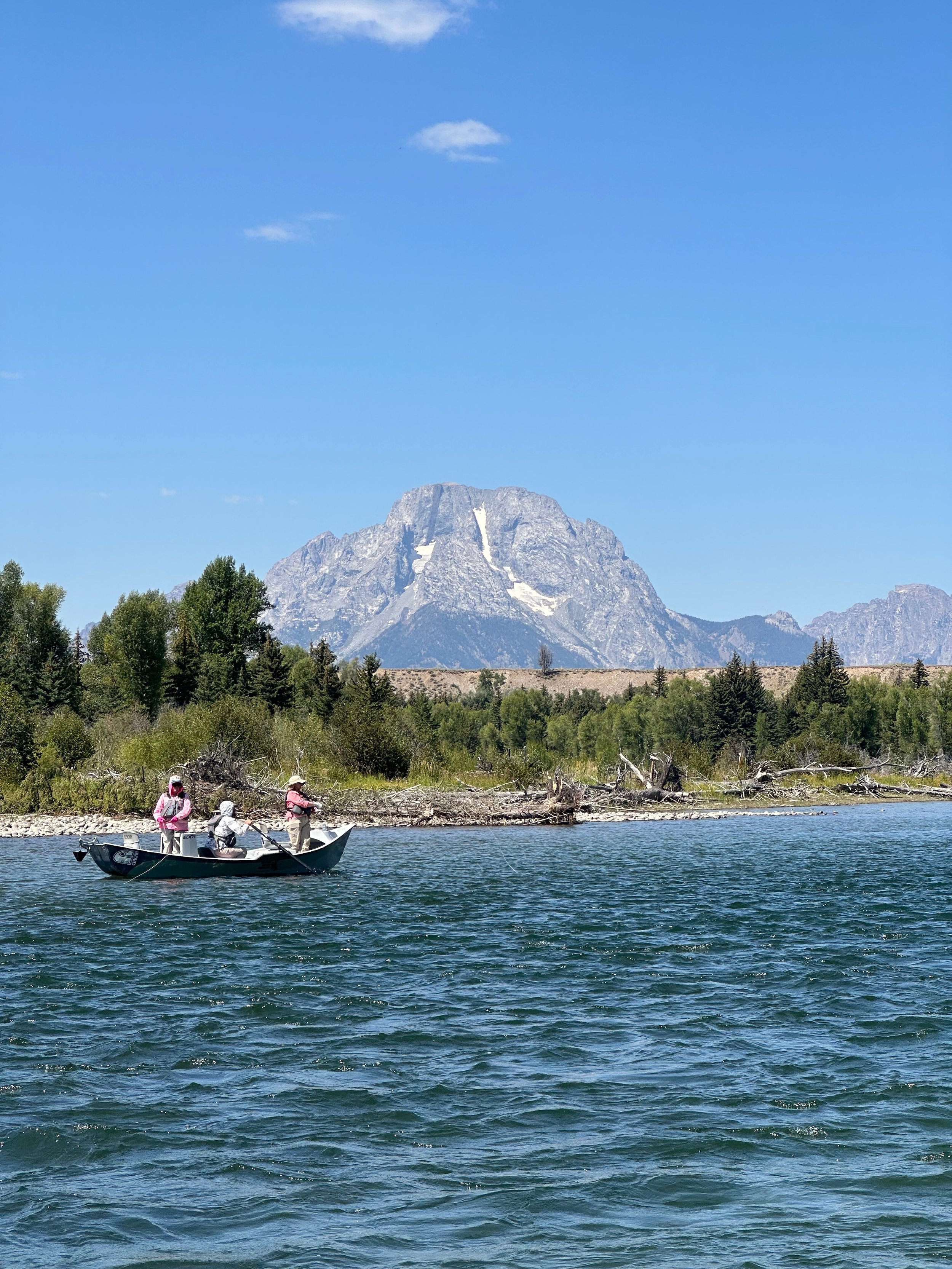 Copy of IMG_6756.jpeg