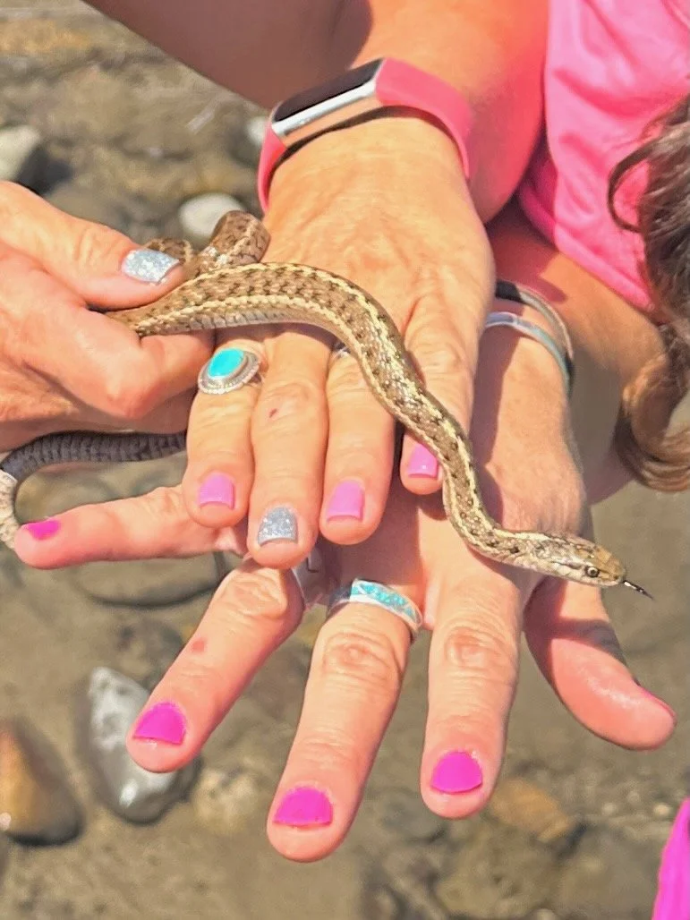 Copy of IMG_9268.jpeg