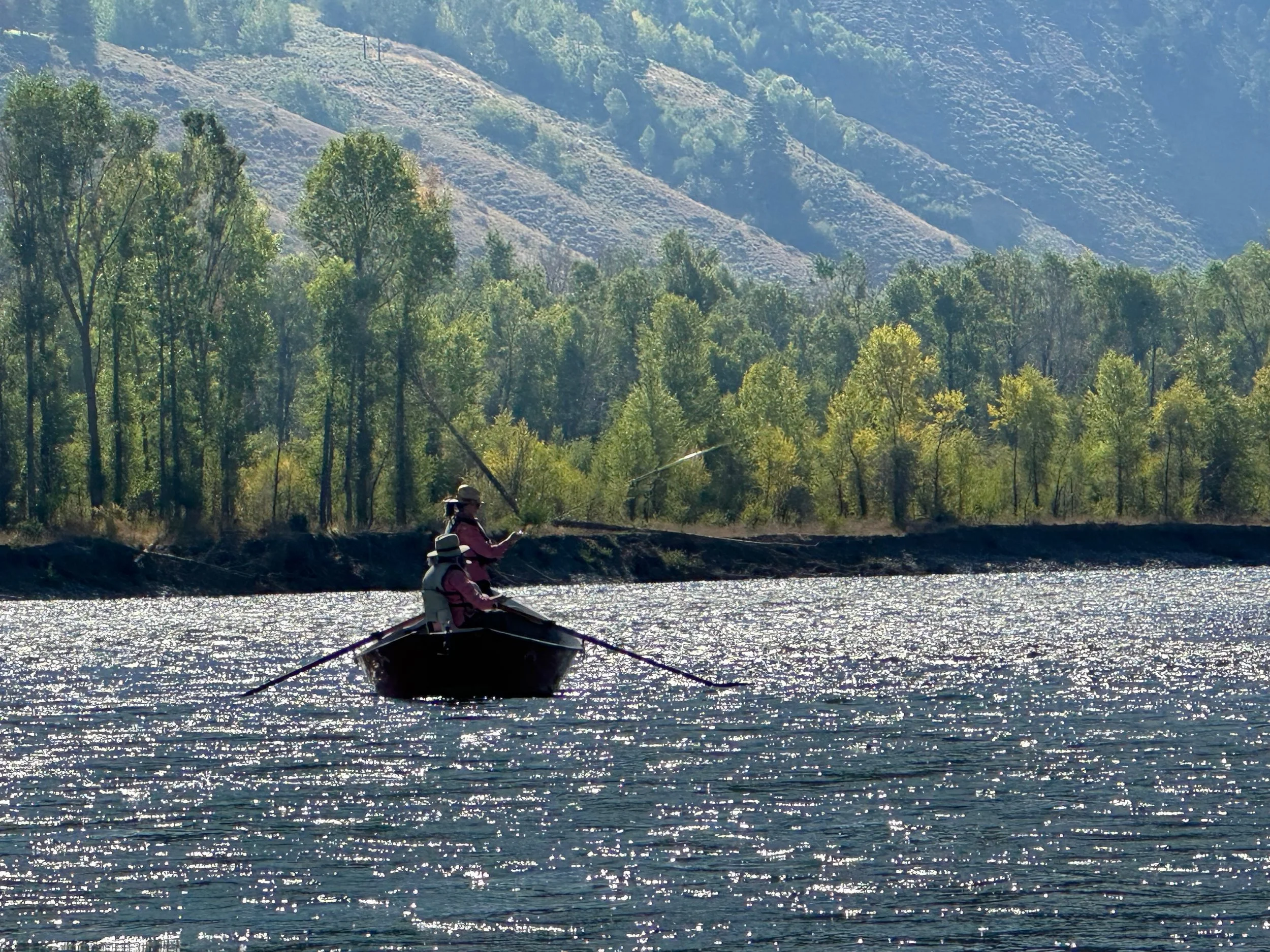 Copy of 8878A287-CB50-47E9-AAD3-D76030FE1EB7.jpeg