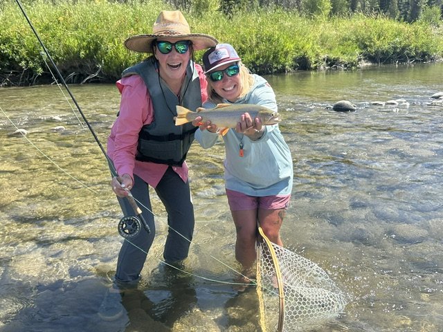 Copy of IMG_0725.JPEG