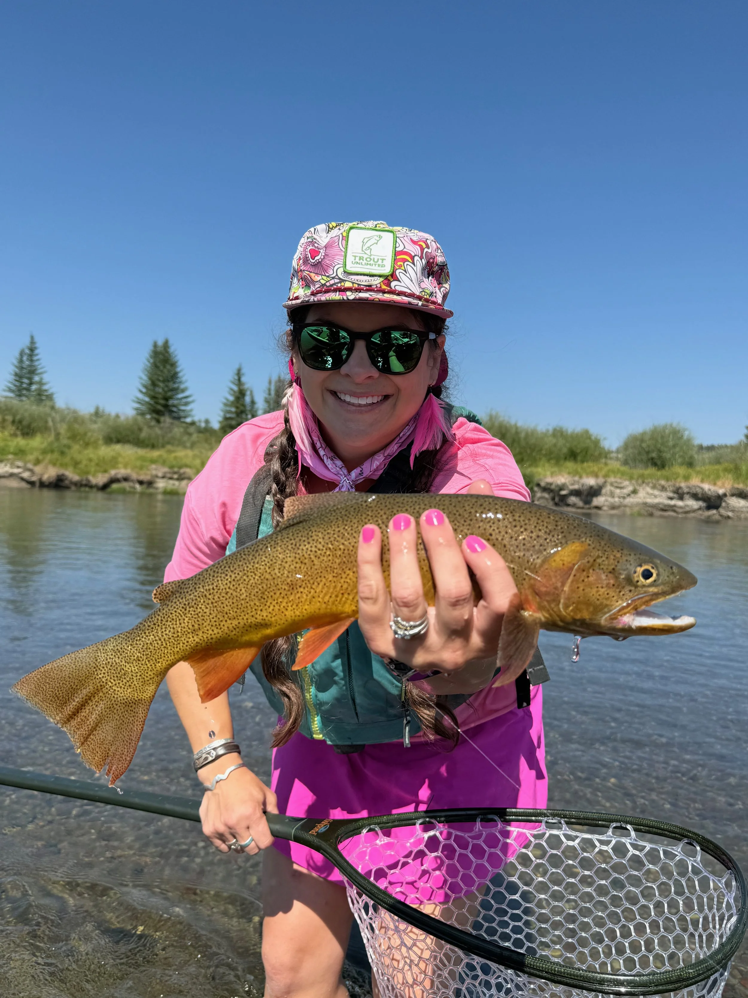 Copy of IMG_6330.jpeg