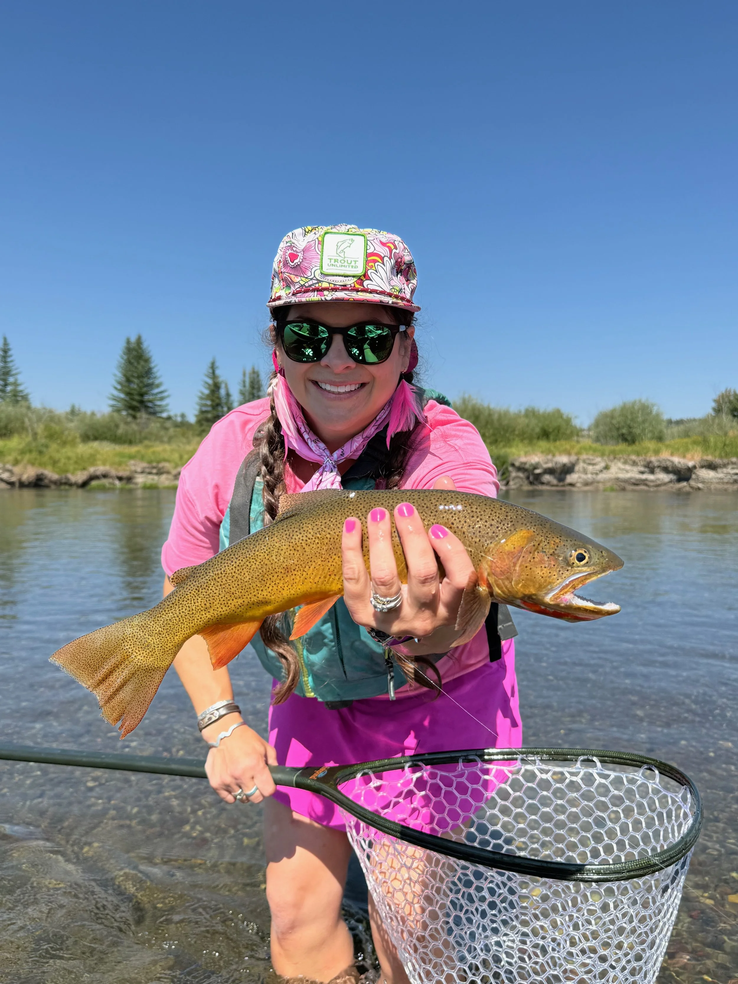 Copy of IMG_6816.jpeg