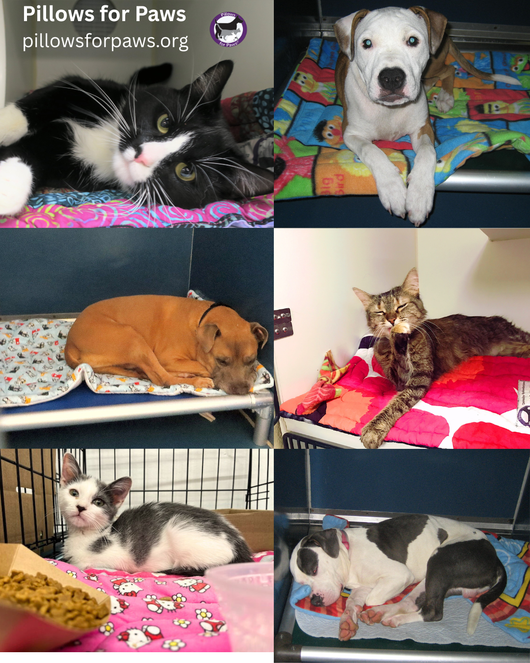 Pillows for Paws Volunteer Event -- Sewing Pet Beds!