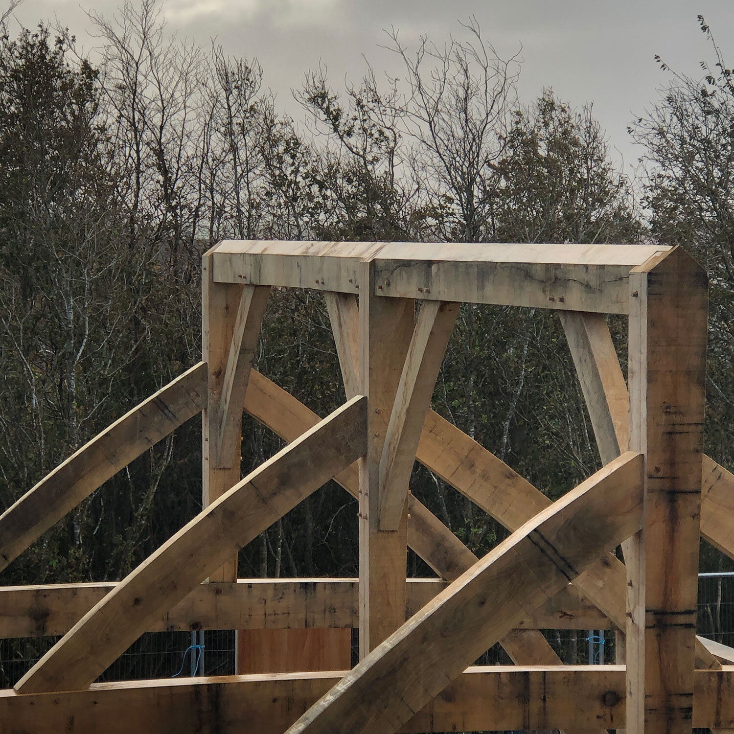 Oak frame trusses