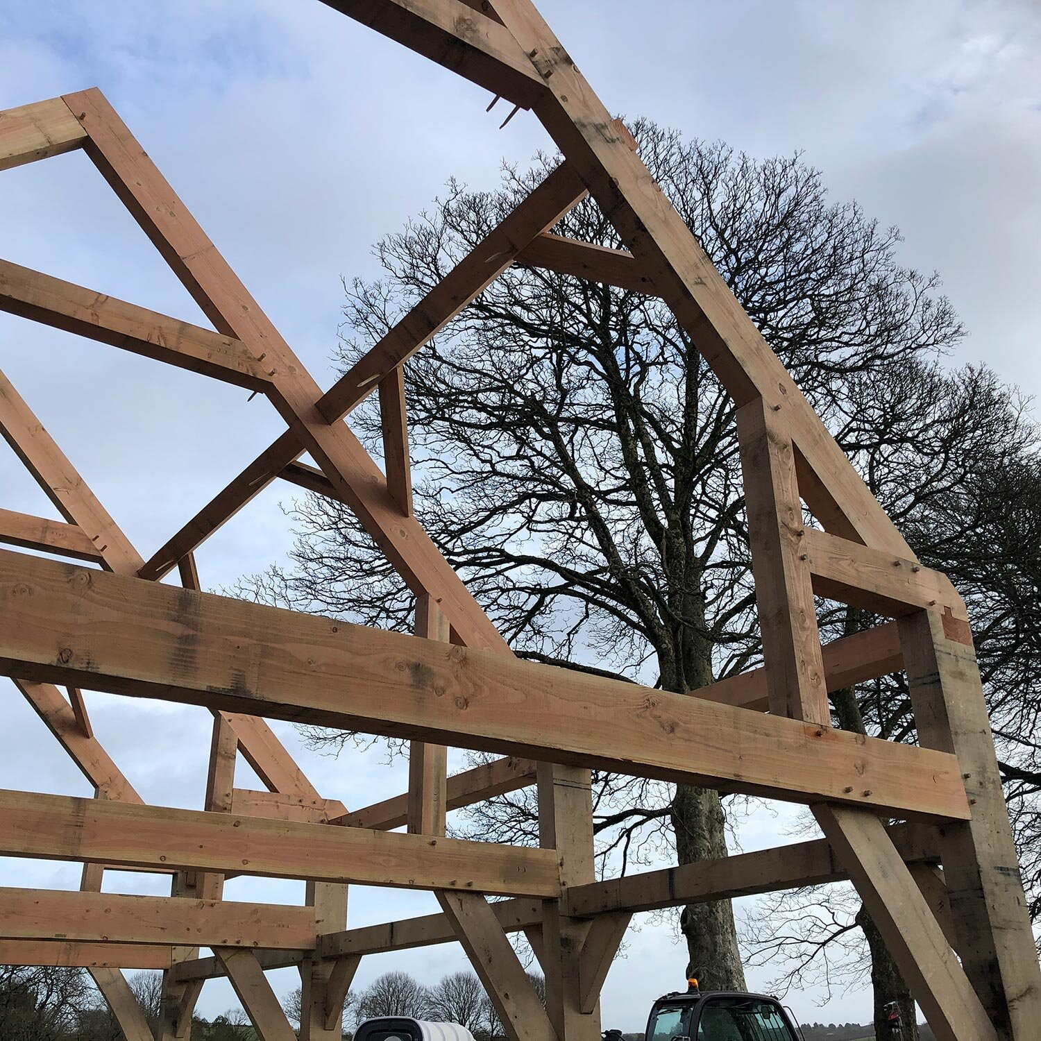 Pegged green oak and douglas fir roof structure