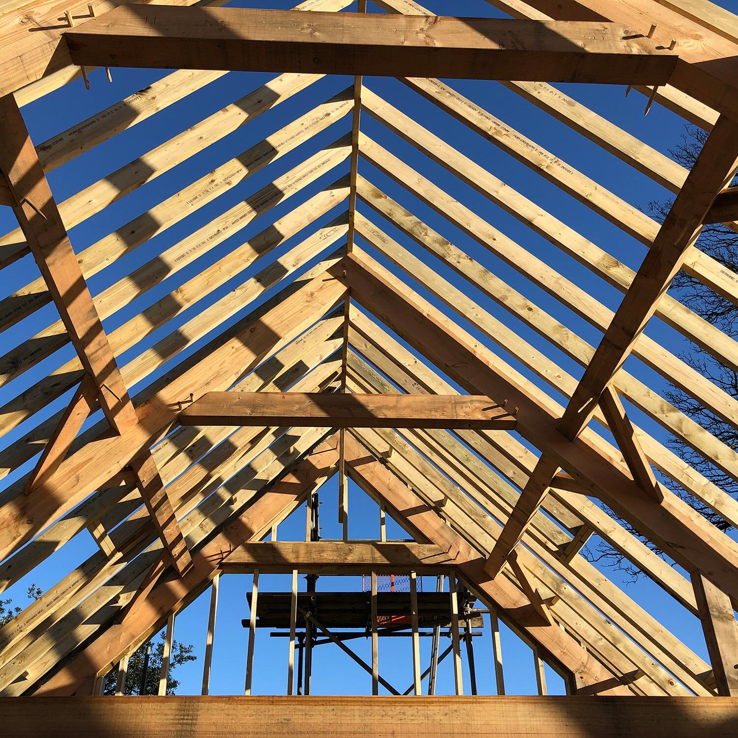 Timber framed roof trusses with sun casting shadows