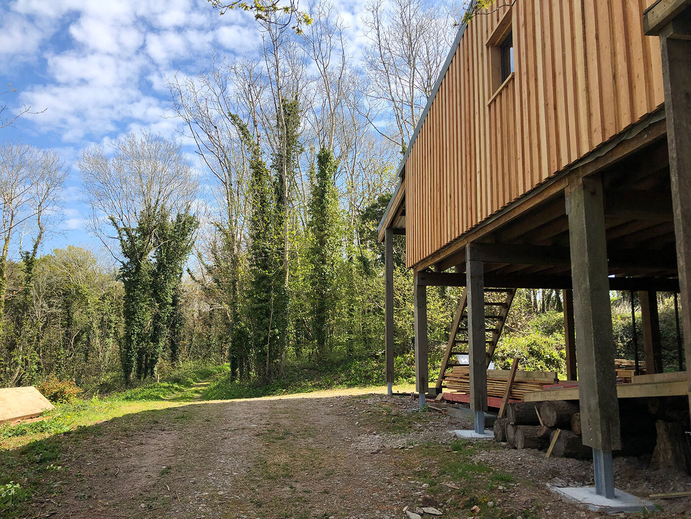 Timber cabin on stilts and steel feet in woodland