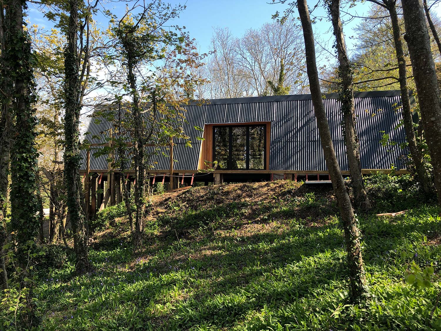 Bespoke-woodland-cabin-hidden-among-trees-in-devon