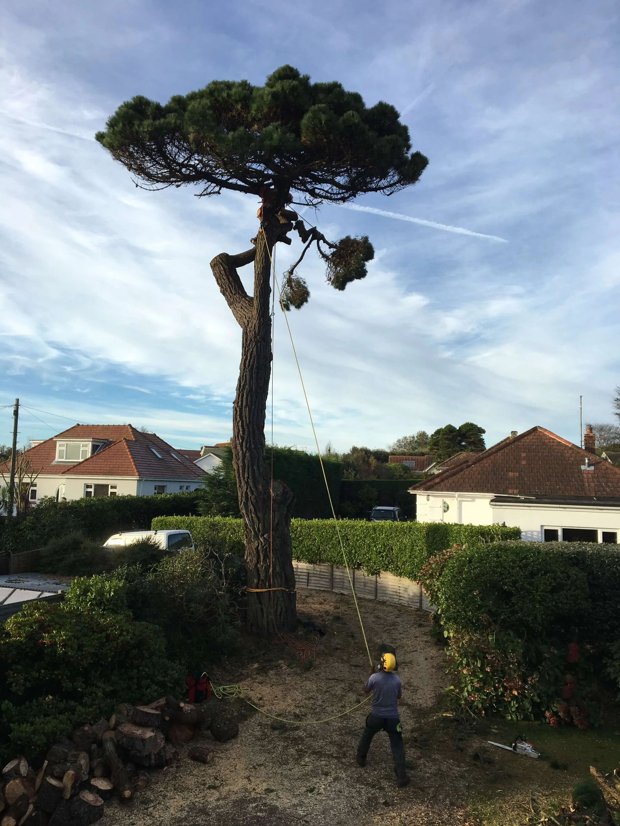 IMG_7056.jpeg