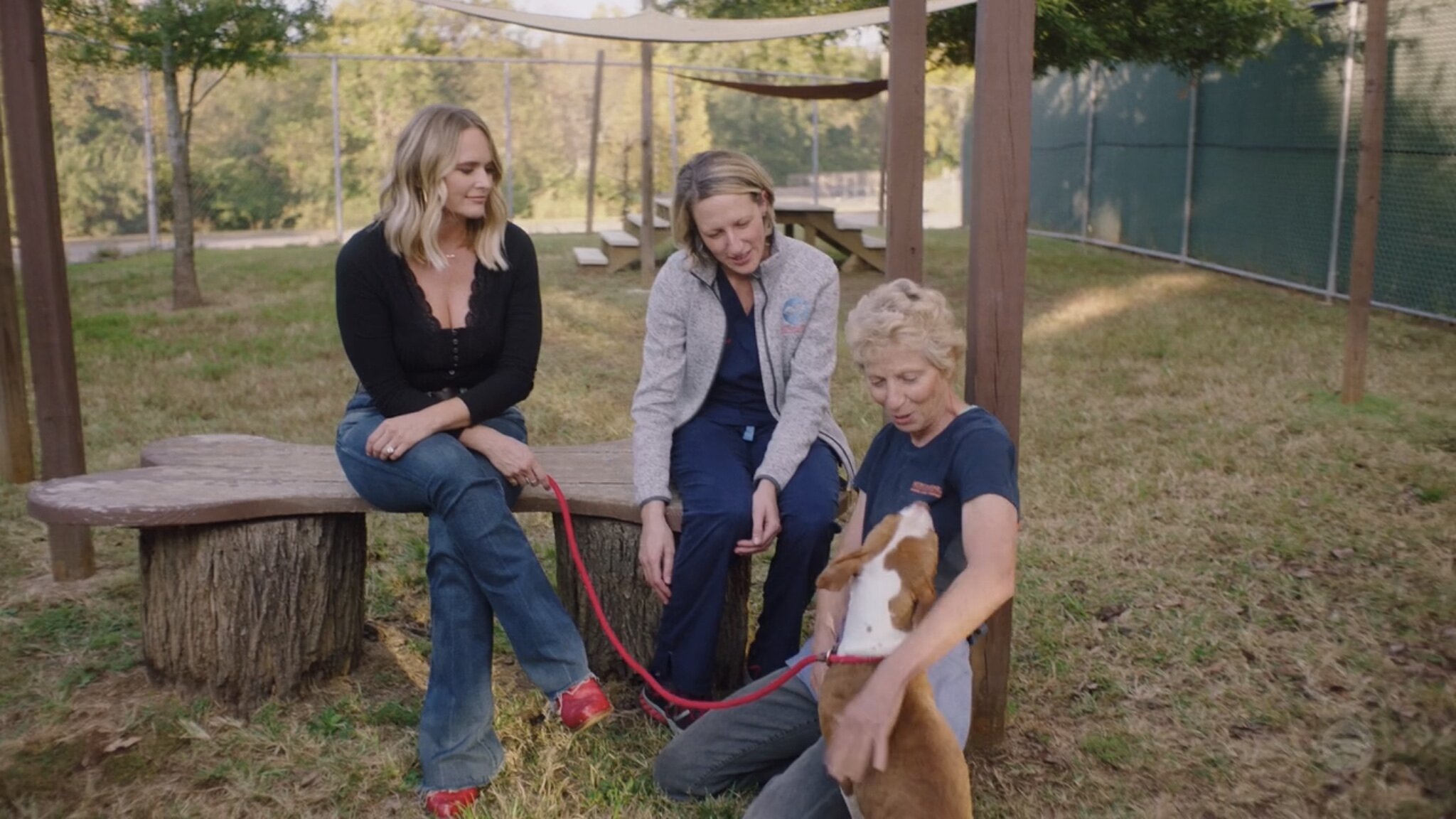 Miranda Lambert - Must Love Dogs