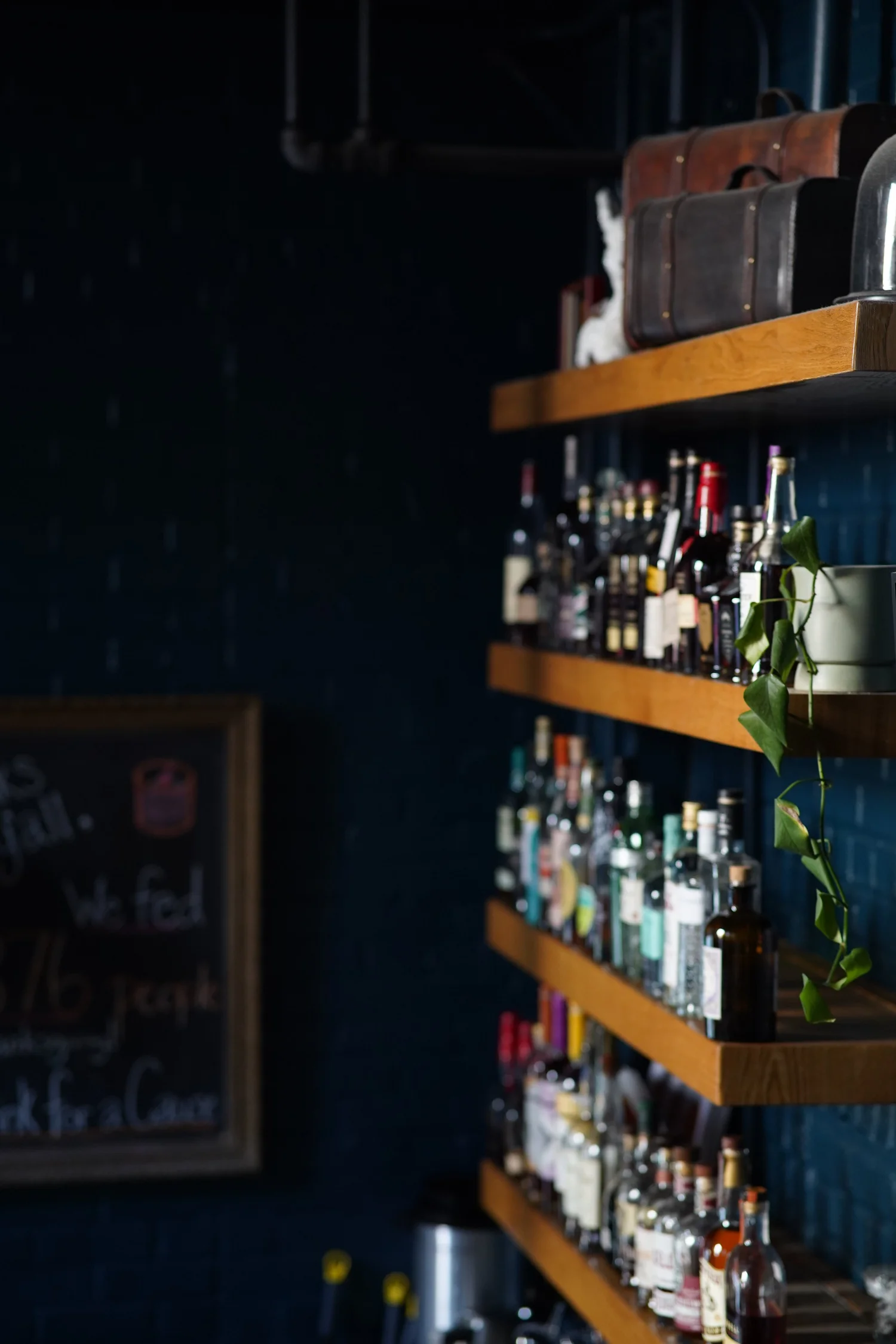 Bar photo 1