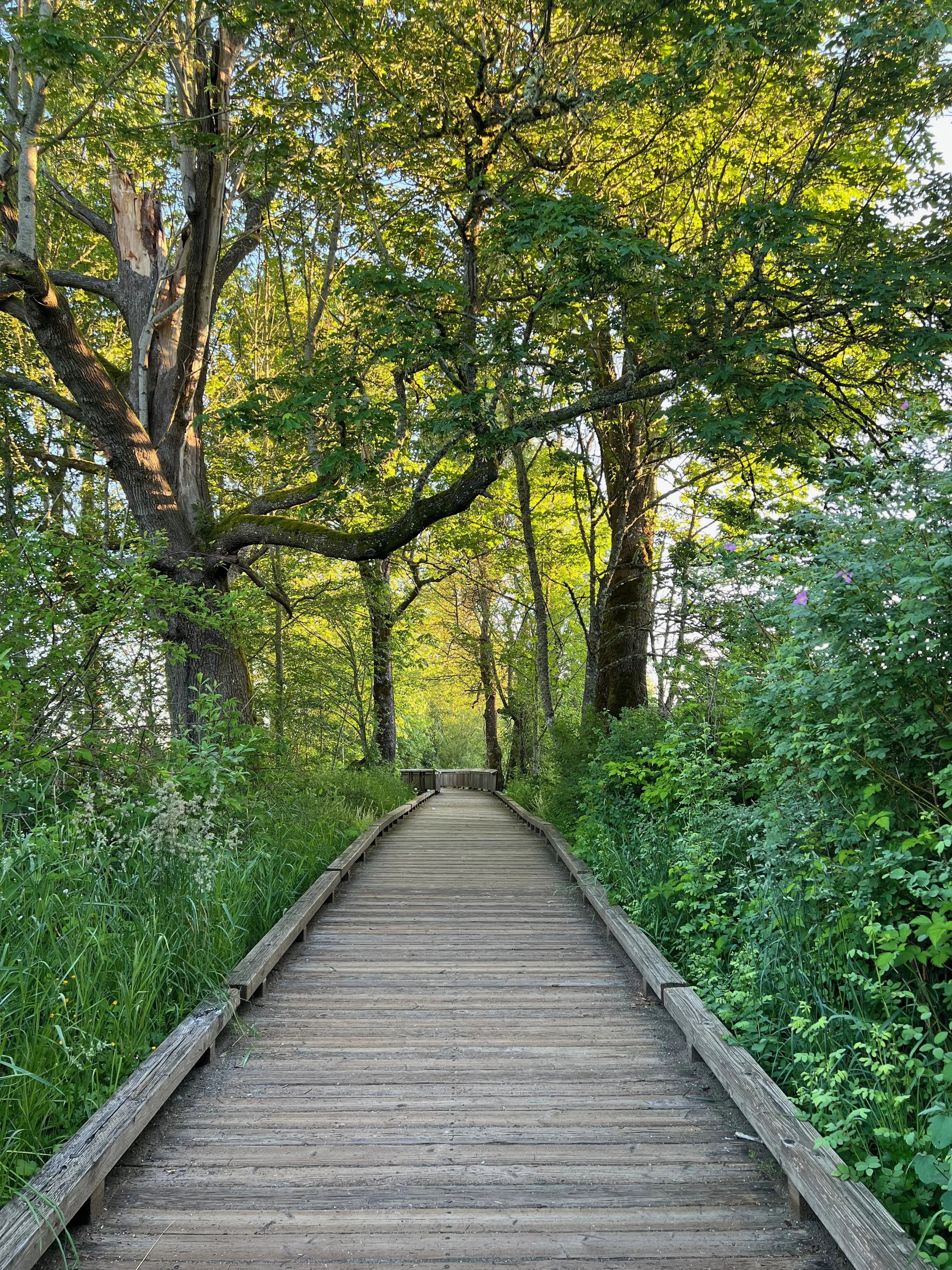 A photographer's day at the Nisqually National Wildlife Refuge