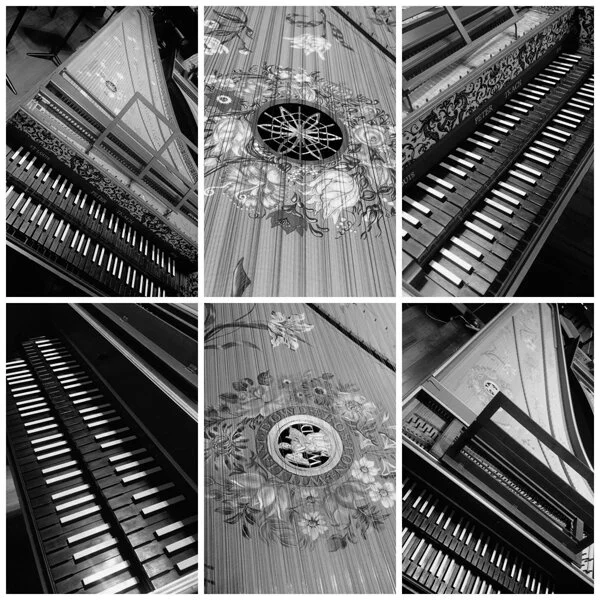 Harpsichord collage BW.jpg