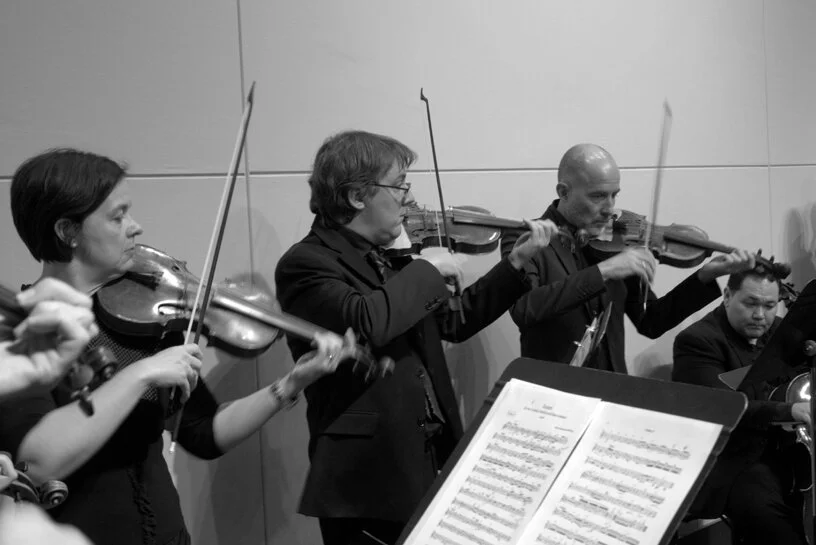 Violins BW.jpg