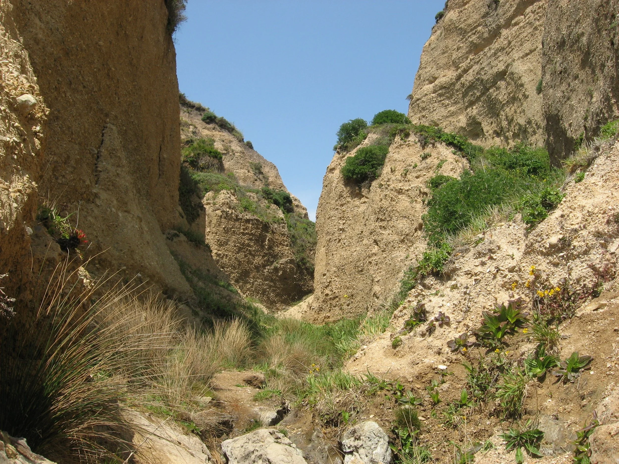 Trans Hiking