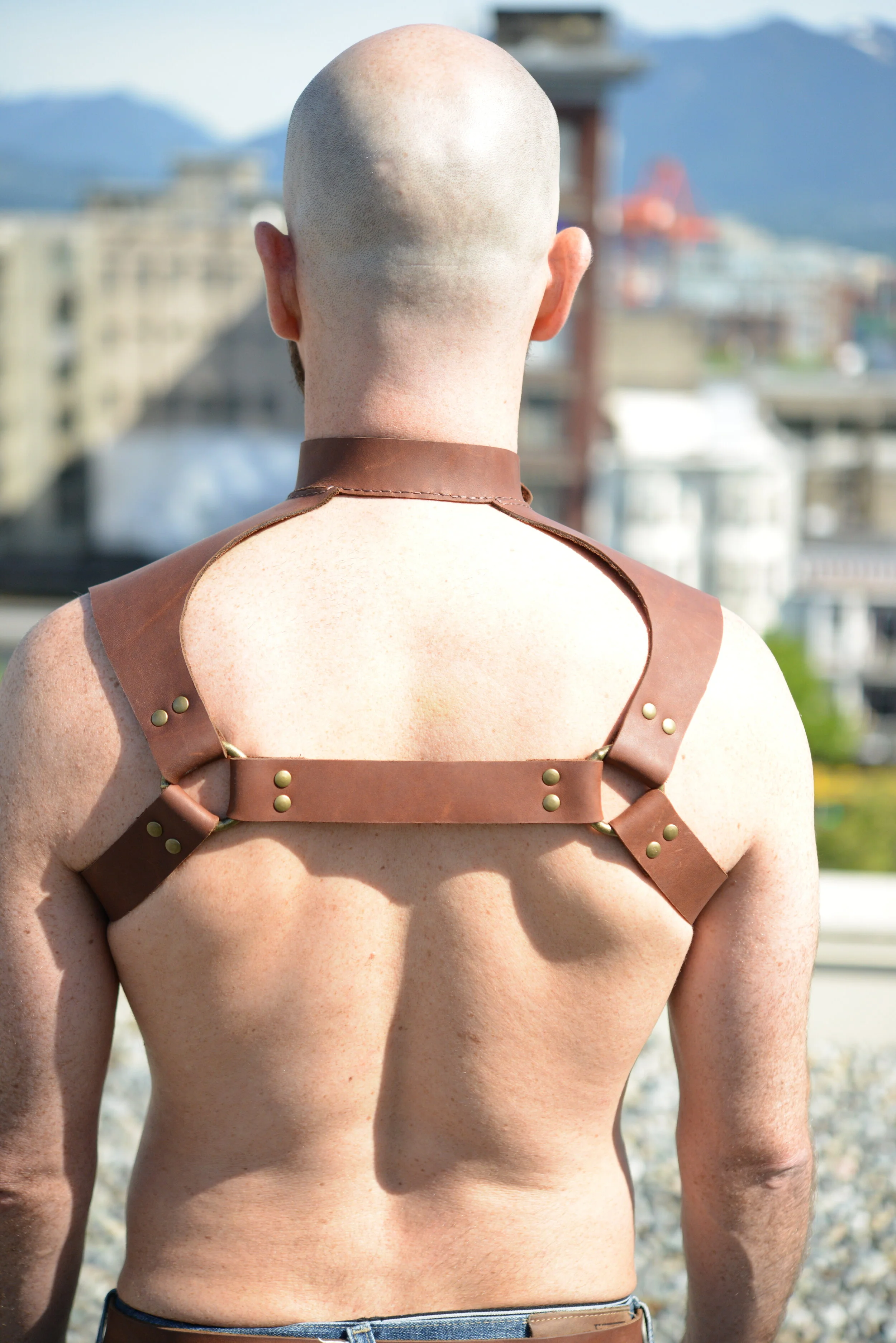   Yoke and Collar   Harness    Oil tanned leather with antique brass finished hardware  