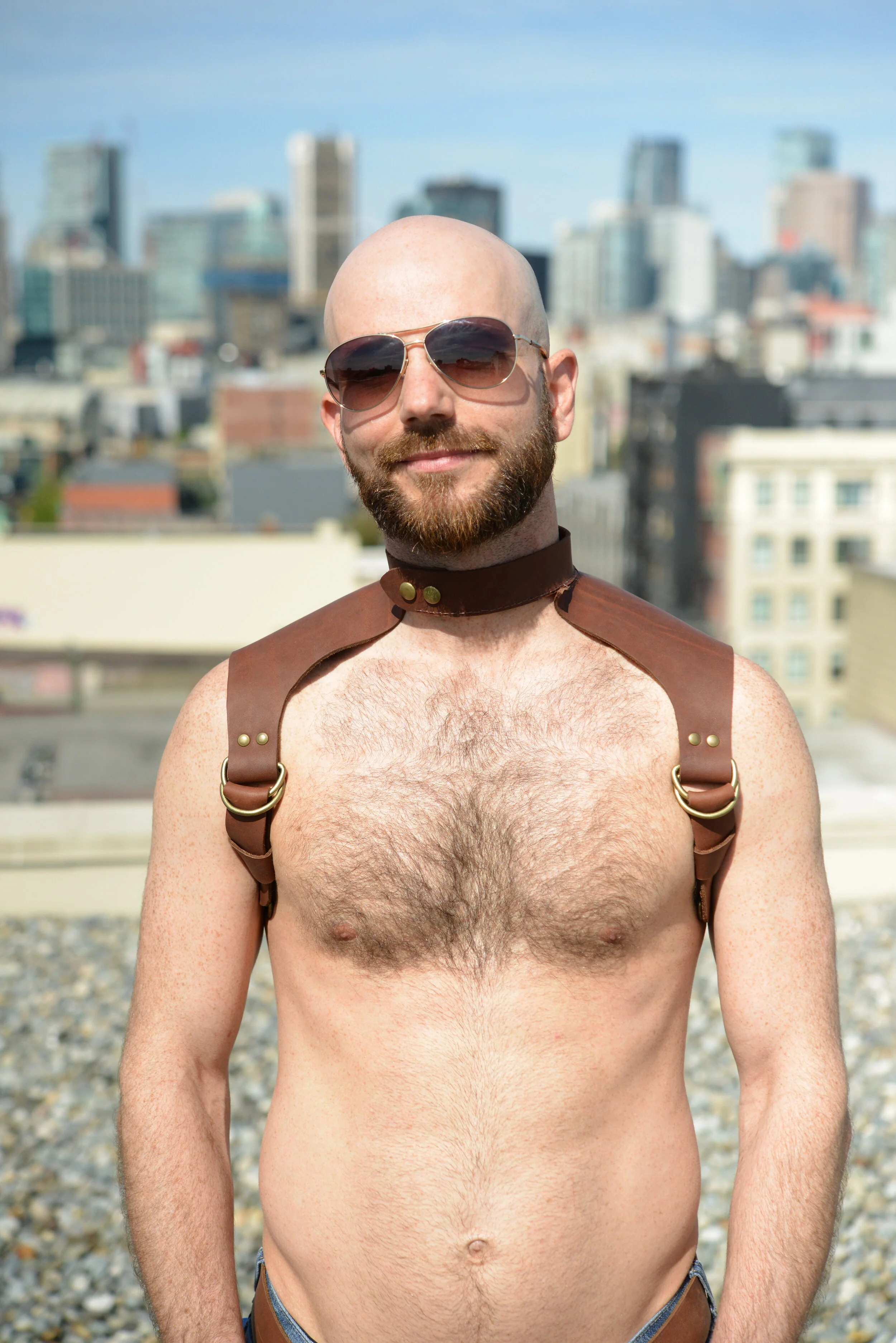   Yoke and Collar   Harness   Oil tanned leather with antique brass finished hardware 
