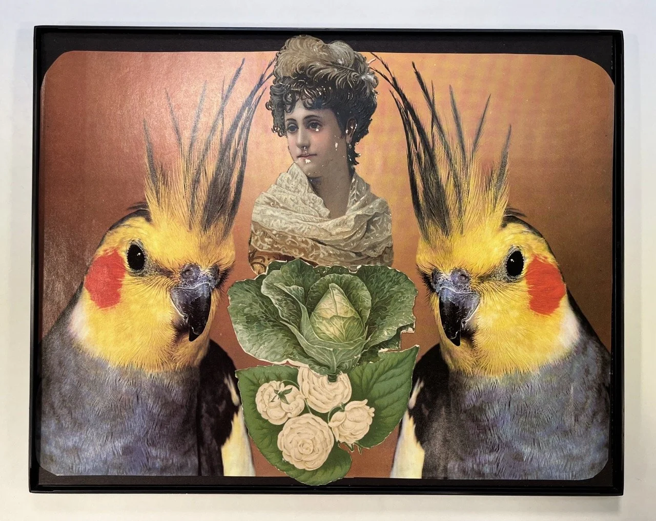 IMG_1630 copy Large.jpeg