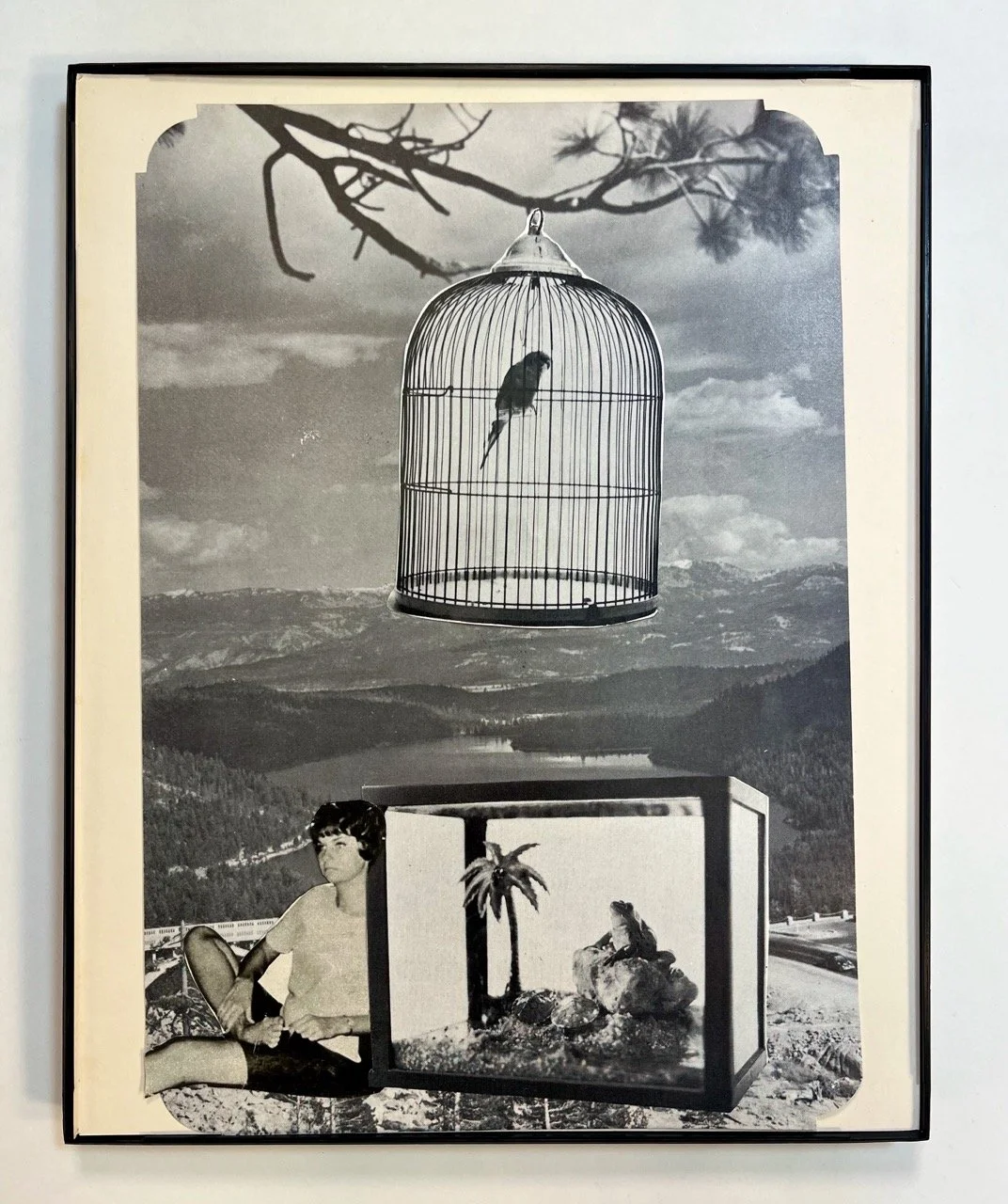 IMG_1638 copy Large.jpeg