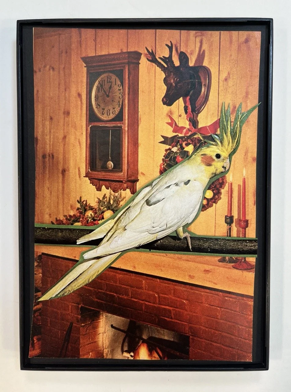 IMG_1656 copy Large.jpeg