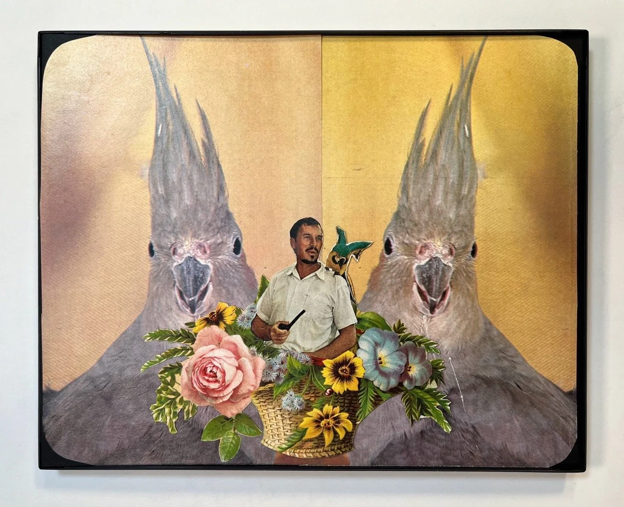 IMG_1634 copy Large.jpeg